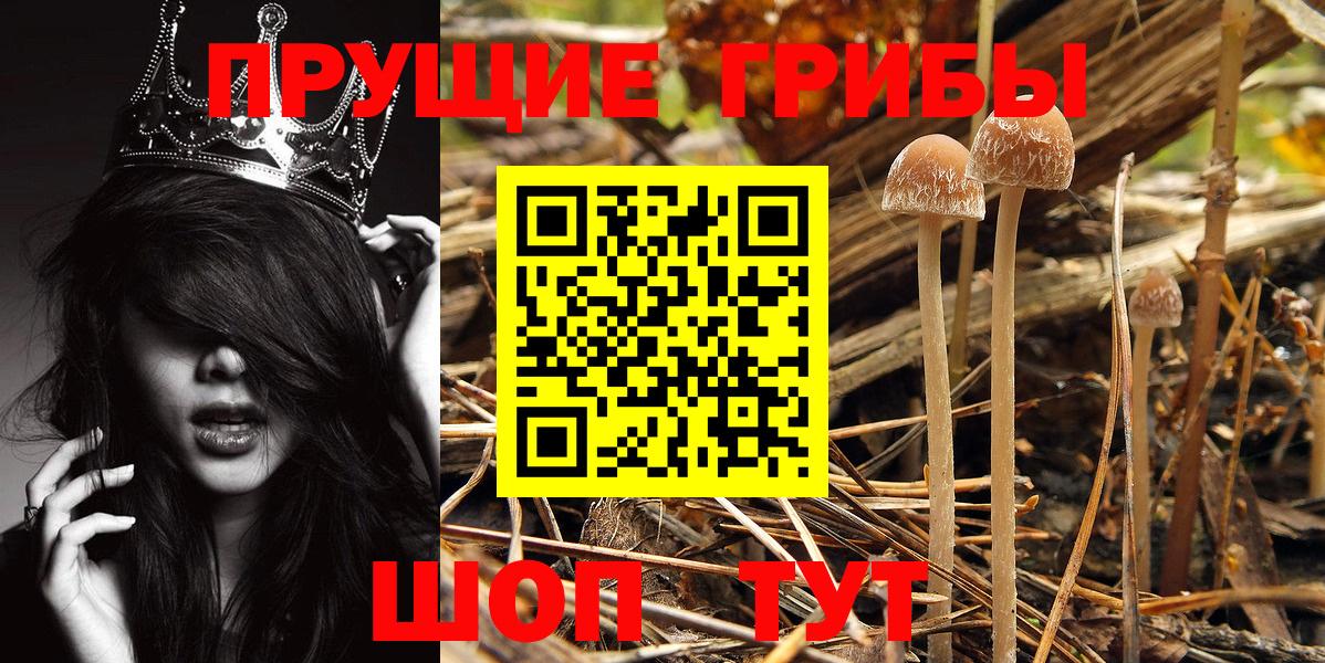 Набережные Челны  Галлюциногенные грибы MAGIC MUSHROOMS  Псилоцибиновые грибы прущие грибы  Вход с VPN 